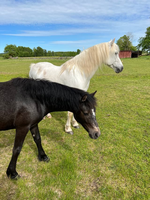 MB’s Show Me Heaven 2