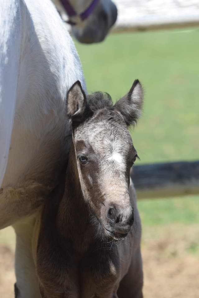 MB’s Show Me Heaven 7