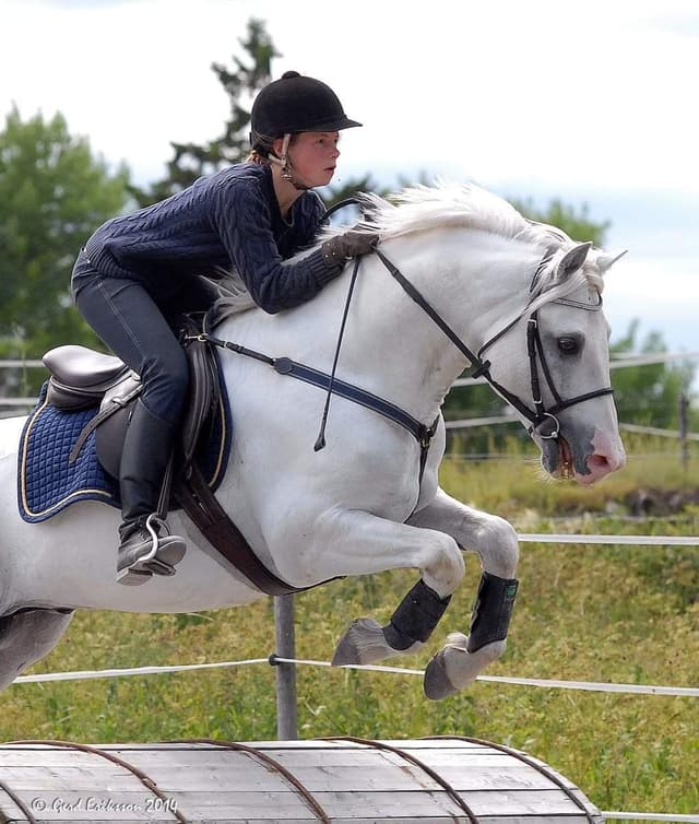 Gräns Diamond Surf 2