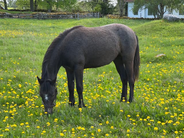 MB’s Show Me Heaven 1