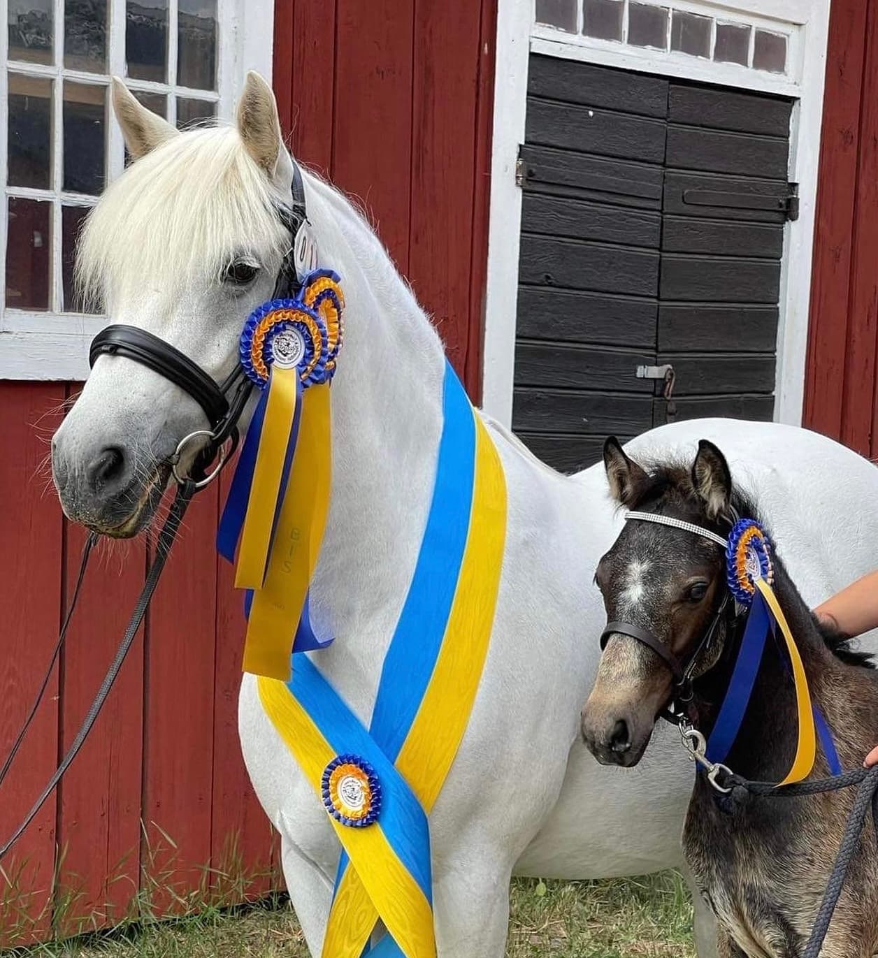 Gentle Farm’s Breeze RC 1425