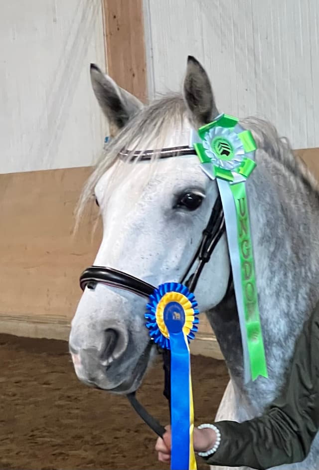 F.L.S Poetic Sydney 1