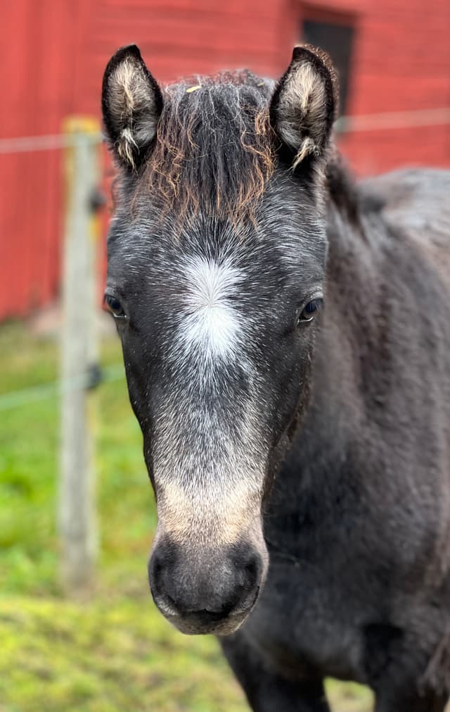 MB’s Show Me Heaven 6