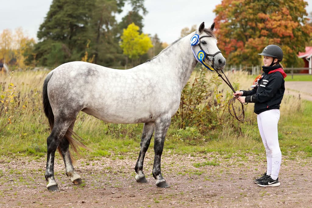 Realt Chois Fharraige