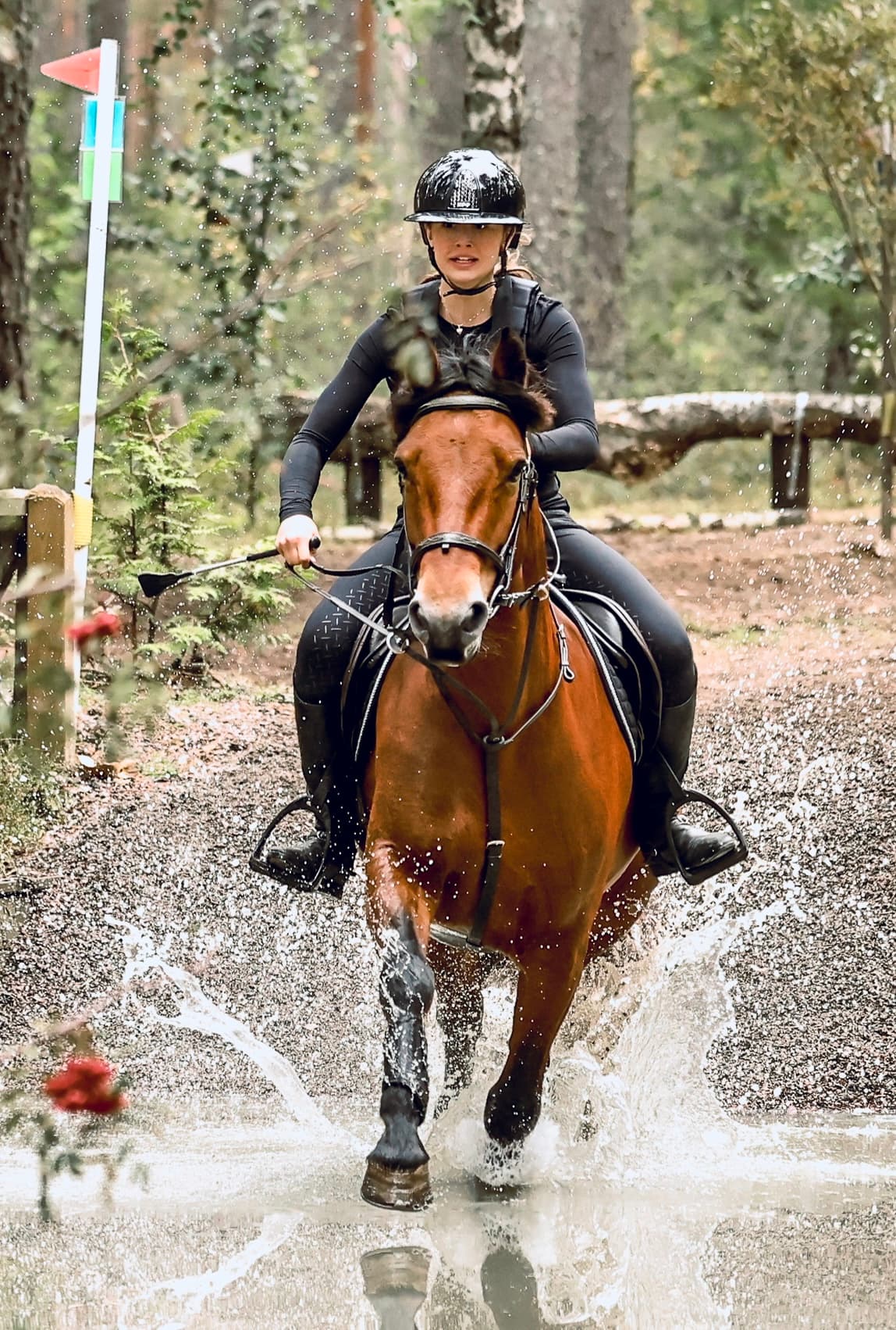 Användningsområden
